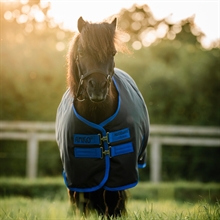 Horseware Amigo Hero 900 Petite regendeken